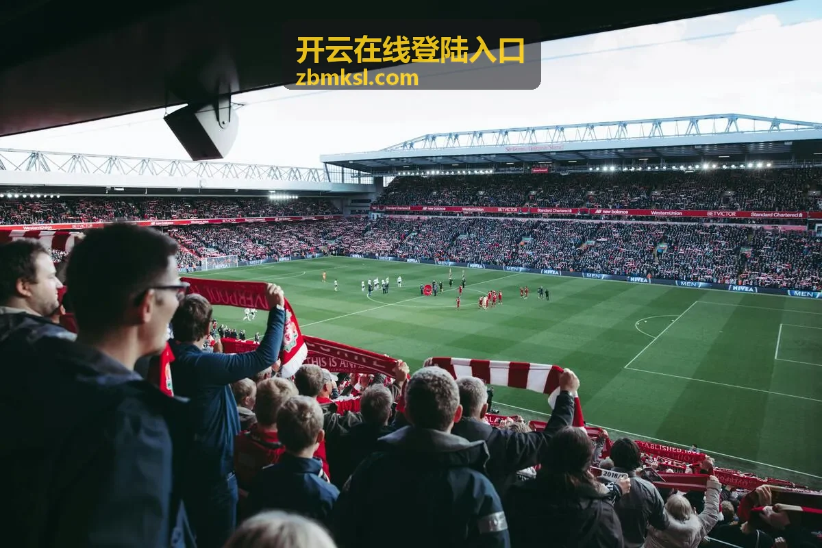 开云在线登陆入口多端登录访问